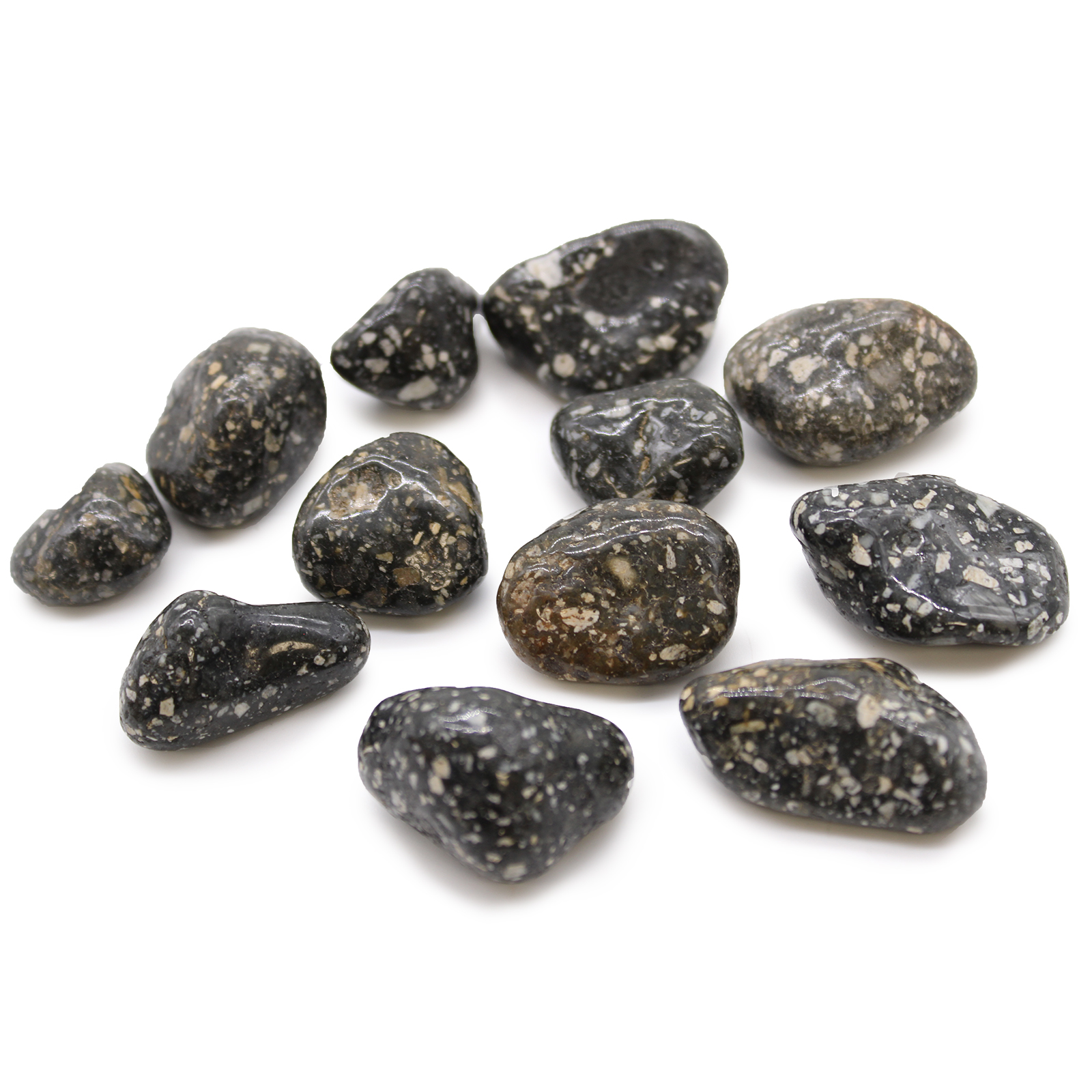 Medium Tumble Stones - Guinea Fowl Medium